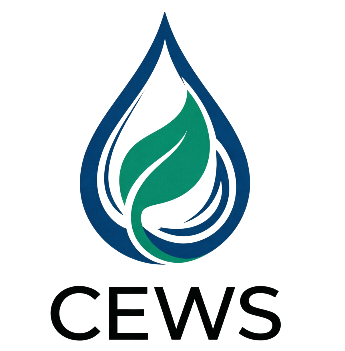 Team | CEWS | PMU Research Center